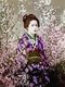 Japan: A young woman in a kimono posing amid blossoms, T. Enami, c. 1905